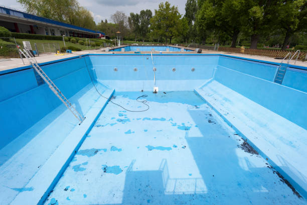 Best Basement water damage restoration  in Pioneer Village, KY